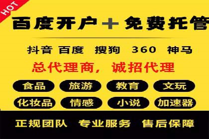 提升转化率：SEM广告投放的实战案例分享